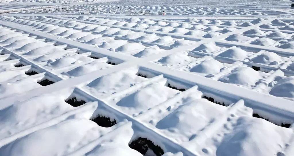 Kış hazırlığı: Bin mezar kazıldı…