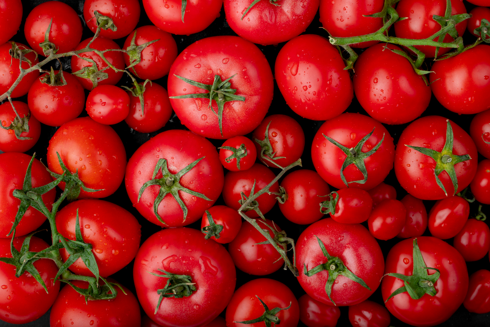 İspanya ve Fransa arasında ‘domates krizi’