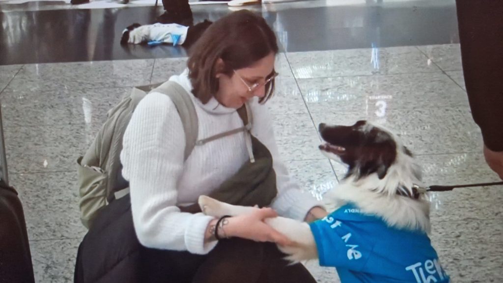 “Terapi köpekleri” İstanbul Havalimanı’nda  göreve başladı