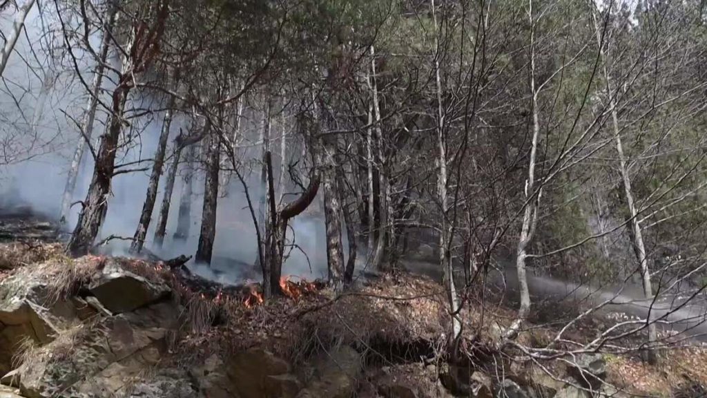Orman yangını 3 gündür devam ediyor