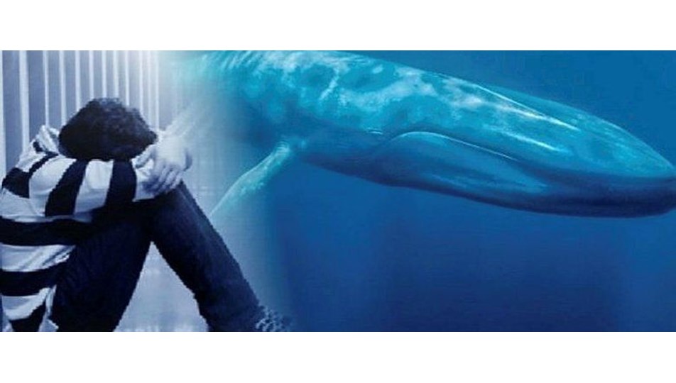 Mavi balina oyunu kabusu: 22 yaşındaki genç intihar etti