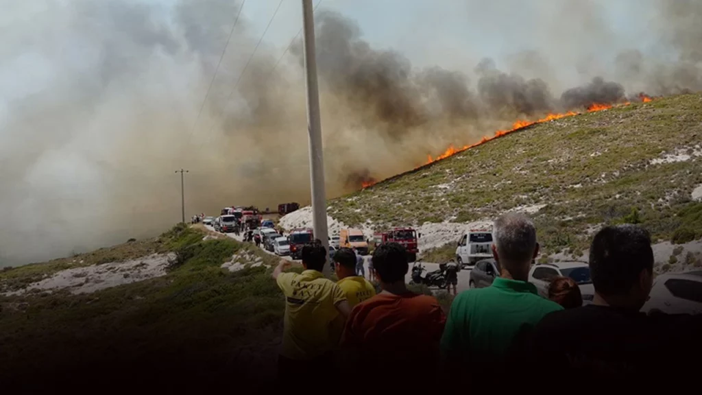 Çeşme’de orman yangını: 3 kişi öldü