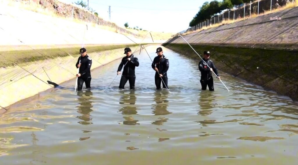 Kayıp Narin için 18’inci günde yeni ihbar: Ekipler gölette arama yaptı