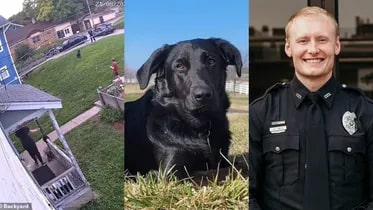 Polisin köpeği silahla vurarak öldürmesi infaal oluşturdu