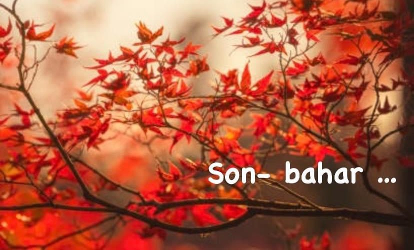 Son-bahar