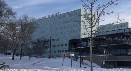 Stockholm Üniversitesi, Türk öğrenciye etnik ayrımcılık yaptığı için suçlu bulundu