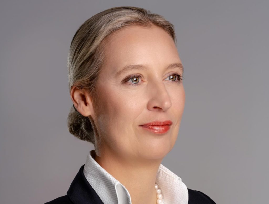 AfD lideri Weidel: Yeni seçimler yapılmalı