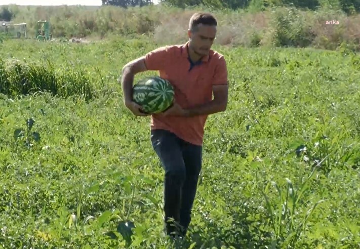 Almanya’da çiftçilerden asgari ücrete tepki