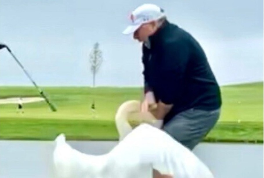 Trump’ın Özel Temsilcisine kuğu saldırısı!