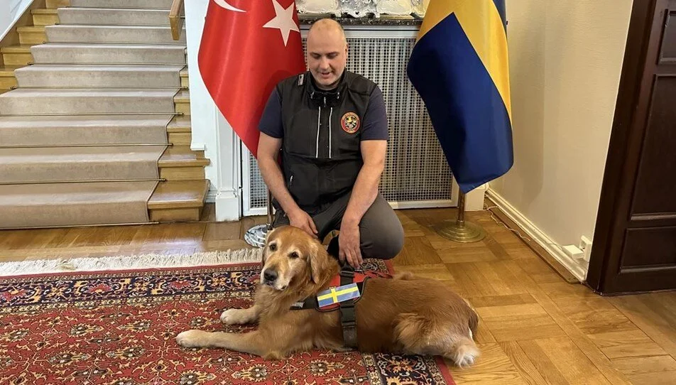 İsveç’in kahraman köpeği hayatını kaybetti: Kahramanmaraş depreminde de 18 kişiyi kurtarmıştı