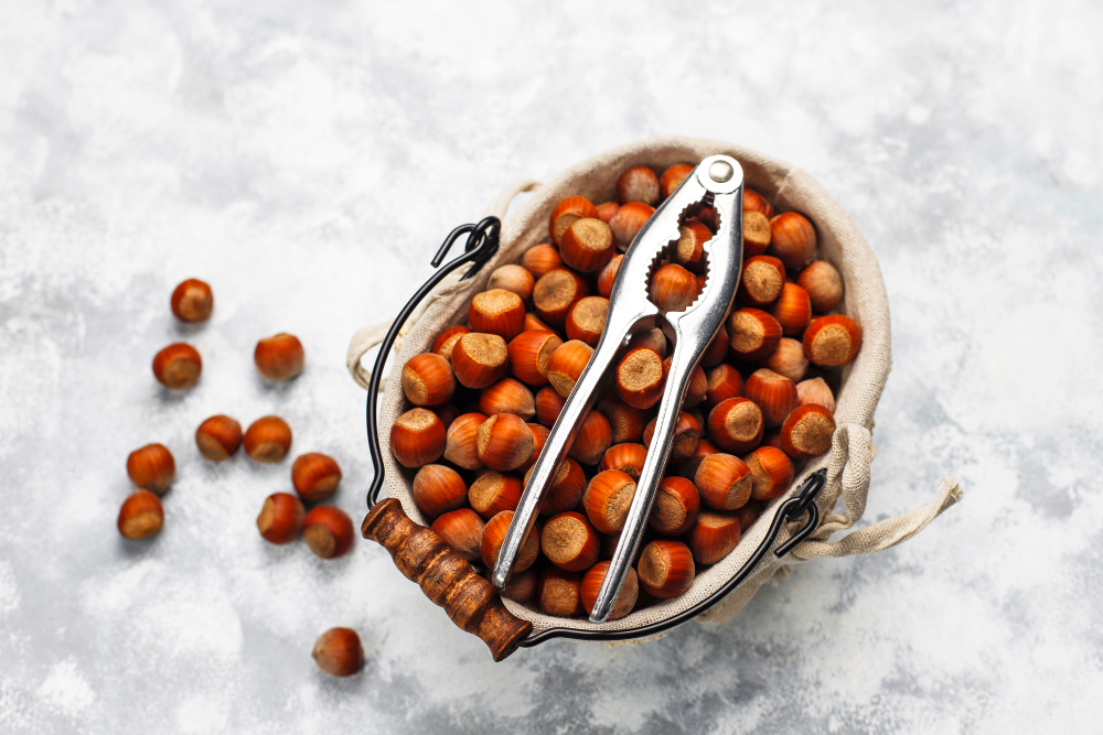 Fındık kabuğuna bilimsel ilgi artıyor: Geleneksel kullanımdan modern araştırmalara