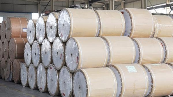 Kağıt devi iflas etti