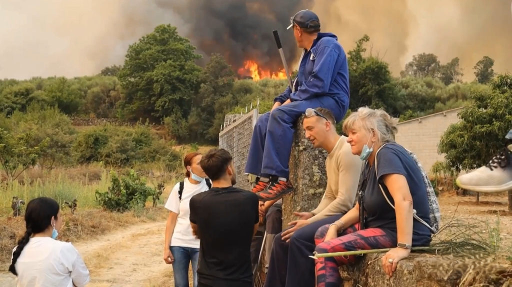 Galiçya’daki yangınlar 40 bin hektarı küle çevirdi