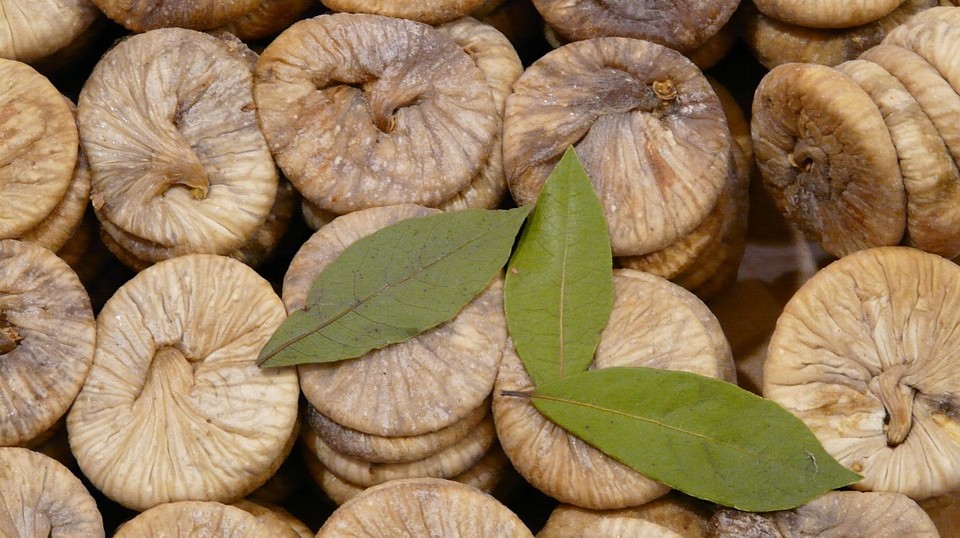 Kuru incirin aydaları nelerdir?