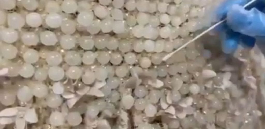 25 kilo uyuşturucuyu tek tek 2 gelinliğe işlemişler