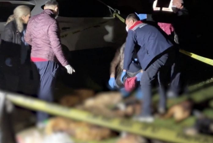 Dokuz köpek ölü bulundu: Soruşturma başlatıldı