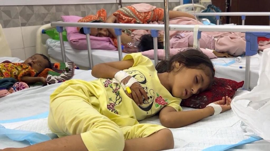 Pakistan’da sıtma alarmı: Sindh’de vakalar artıyor